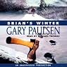 Brian's Winter