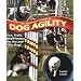 The Beginner's Guide to Dog Agility