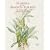 Flowers of the Amazon Forests: The Botanical Art of Margaret Mee