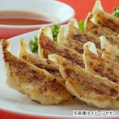 宇都宮餃子「玉ちゃん餃子」2種セット