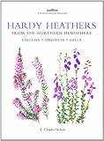 Hardy heathers : from the northern hemisphere : calluna, daboecia, erica