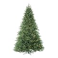 Utah Frasier Tree (Clear) Green