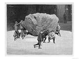 Meteorite Found by Peary in Greenland and Brought Back to the Museum of Natural History New York Giclee Poster Print, 36x48