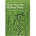 North American Wildland Plants: A Field Guide