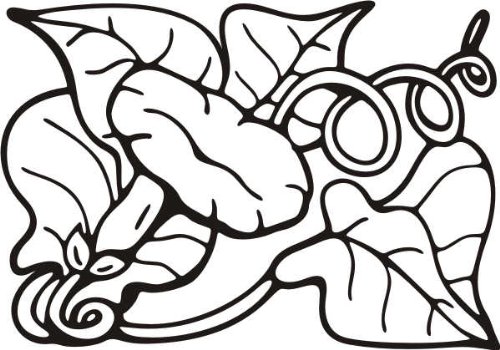 Imagen 2 de Etiqueta de la pared e189 wunderscmhön hojas adornados 96x67 cm