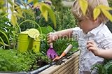 IMAGE OF Wallmonkeys Peel and Stick Wall Decals - Toddler Gardens - 72