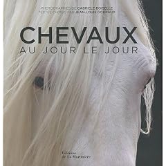 Chevaux au jour le jour