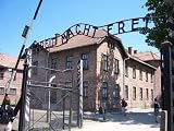 Ausschwitz - 18W x 14H - Peel and Stick Wall Decal by Wallmonkeys