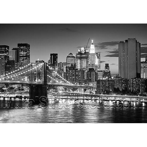 brooklyn bridge panoramic