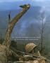 Requiem: By the Photographers Who Died in Vietnam and Indochina