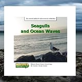 Seagulls and Ocean Waves