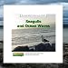 Seagulls and Ocean Waves