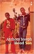 Bird Head Son (Salt Modern Poets)