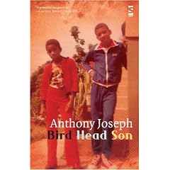 Bird Head Son (Salt Modern Poets)