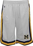 Michigan Wolverines -Grey- Transition Shorts - XX-Large
