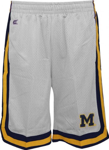 Buy Michigan Wolverines -Grey- Transition Shorts