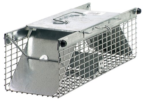 Havahart 1025 Live Animal Two-Door Chipmunk, Small Squirrel, Rat, and Weasel Cage Trap