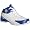 White/Royal/Silver
