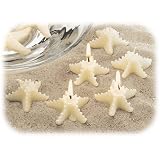 Starfish Candle Set small