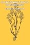 An Introduction To Paleobotany