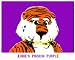 Auburn Painting - Aubie Pigskin Purple