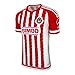 Chivas de Guadalajara Home Soccer Jersey 2015