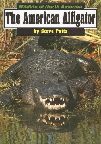 The American Alligator (Wildlife of North America)