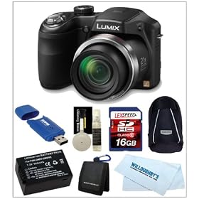 Panasonic Lumix DMC-FZ60K 16.1 MP Digital Camera with 24x Optical Zoom (Black) + Camera Case + Spare Battery + 16GB Class 10 SDHC Memory Card + Memory Card Wallet + Cleaning Kit + Card Reader + Cleaning Cloth