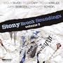 Stony Brook Sounding 2