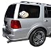 Pittsburgh Steelers Team Auto Window Decal (12 x 10 -inch)