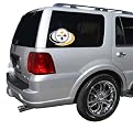 Pittsburgh Steelers Team Window Decal
