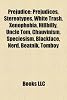 Prejudice: Prejudices, Stereotypes, White Trash, Xenophobia, Hillbilly, Uncle Tom, Chauvinism, Speciesism, Blackface, Nerd, Beatn