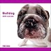 Bulldog The Dog 2009 Wall Calendar