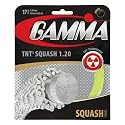 Gamma Sports GTNTS10 Tnt2 Squash 17G (Yellow)
