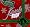 Kuschelrock-Christmas