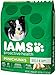 IAMS Adult Minichunks Small Kibble High Protein Dry Dog Food with Real Chicken, 38.5 lb. Bag