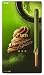 Fran "Creamy Mousse" Green Tea Flavor Pocky-style Stick Snack (Japanese Import)