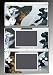 519ufw0W0bL. SL75 Reviews Pokemon Black HeartGold SoulSilver Diamond Game Vinyl Decal Cover Skin Protector #18 for Nintendo DS Lite