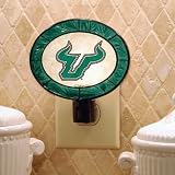 Art-Glass Nightlight-South Florida