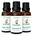 AromaOils Pure & Therapeutic Grade Peppermint Essential Oil, Fresh Menthol and Mint Scent, 1-Ounce (30 ml)