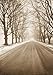 Peaceful Country Road in Rural Michigan by Tom Marks - 24H x 17W - Peel and Stick Wall Decal by Wallmonkeys