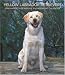 Labrador Retrievers, Yellow 2008 Hardcover Weekly Engagement Calendar