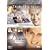 Princess Diana Special Editon Box Set [DVD]