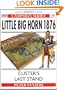 Little Big Horn 1876: Custer's Last Stand (Campaign)