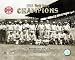 1918 World Series Champion Boston Red Sox Team Photo 8x10 Photo