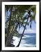 Puna (Black Sand) Beach, Island of Hawaii (Big Island), Hawaii, USA Places Framed Art Poster Print by Ethel Davies, 39x49