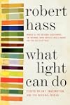 What Light Can Do: Essays on Art, Ima...