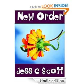 New Order (gay romance, gay fiction, erotic short stories)