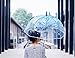 Clear Bubble Umbrella Half Automatic Flower Dome Shape Rain Umbrella