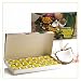 Hawaii Candy Pineapple Coconut Balls, 8-Ounce Gift Boxes (Pack of 3)
